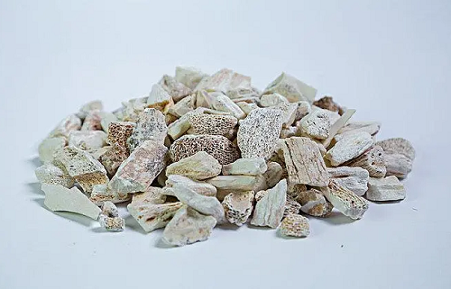 龍骨的功效與作用是什么 龍骨存在的禁忌有哪些