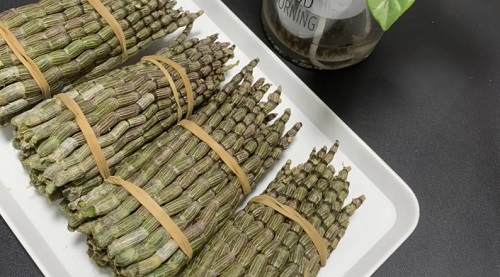壯陽效果好的10種食物是什么 使用壯陽食物需要注意什么