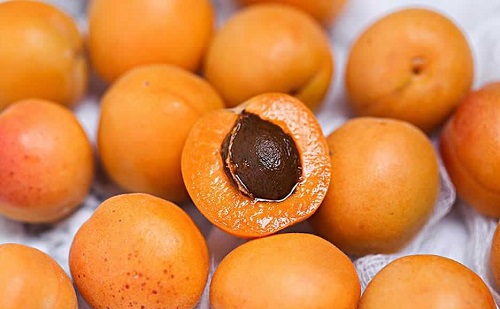 杏子吃了有什么好處和壞處是什么 盤點吃杏子的好處與壞處