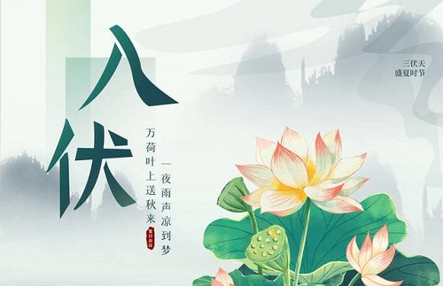 入伏從哪一天開始算起 入伏吃什么好排濕氣