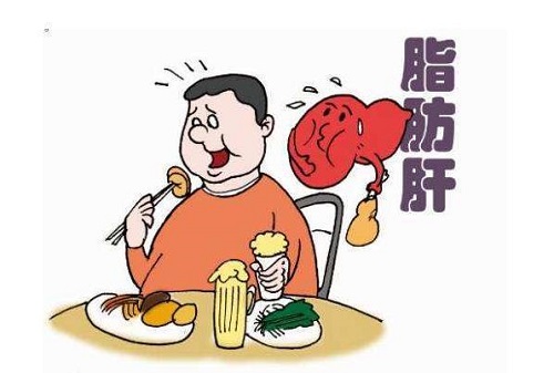 脂肪肝怎么減掉 得了重度脂肪肝怎么辦