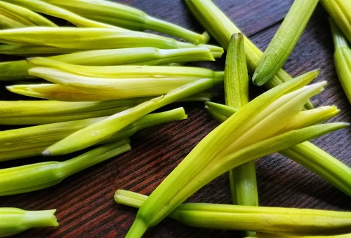 黃花菜的藥用價值是什么 黃花菜是治什么病的