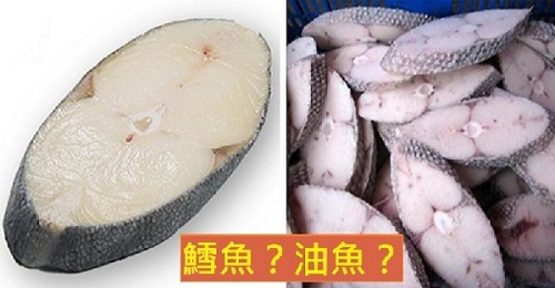 油魚和鱈魚的區別是什么 油魚和鱈魚的營養價值怎么樣