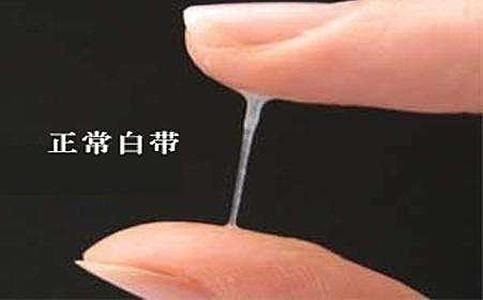 白帶什么樣說明懷孕了 如何快速發現自己懷孕
