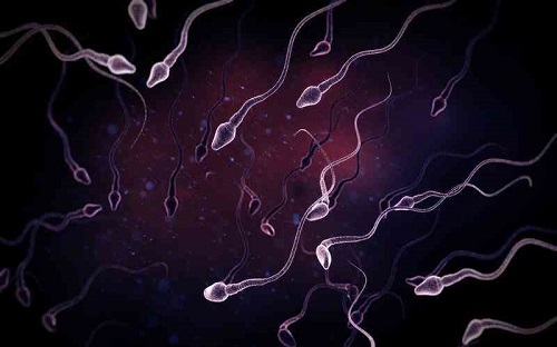 精子從嘴巴吞下去會怎么樣 吃精子會導致不孕不育嗎