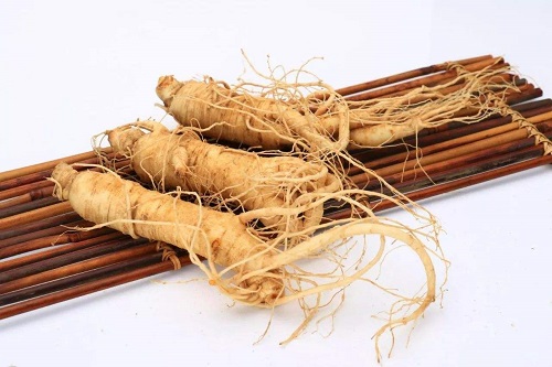 人參的功效與作用是什么 人參對(duì)肺部有好處嗎