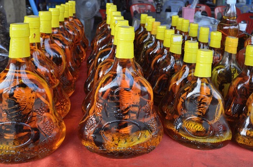 毒蛇泡酒有毒嗎 蛇酒的泡制方法是什么