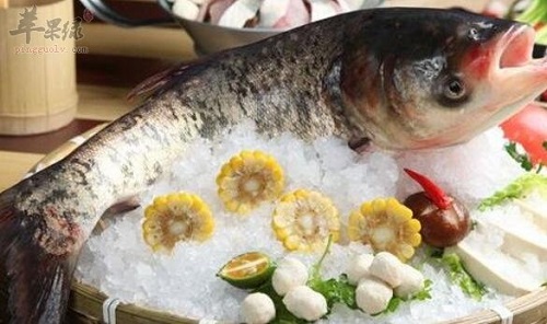 鰱魚的營養(yǎng)價值是什么 吃鰱魚存在什么禁忌