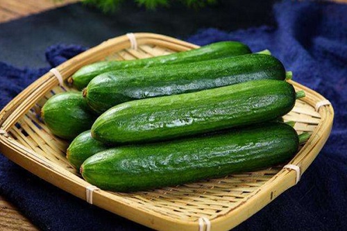 青瓜的營養價值是什么 青瓜的食用功效是什么