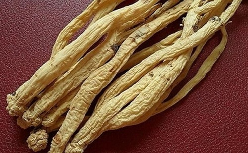 黨參的副作用是什么 黨參副作用的產生如何避免