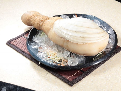 象拔蚌的營養價值是什么 食用象拔蚌有什么禁忌