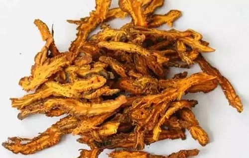 胡黃連的功效與作用是什么 胡黃連和黃連的區(qū)別是什么