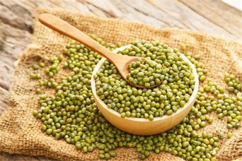 綠豆的功效與作用是什么 綠豆和什么相克中毒