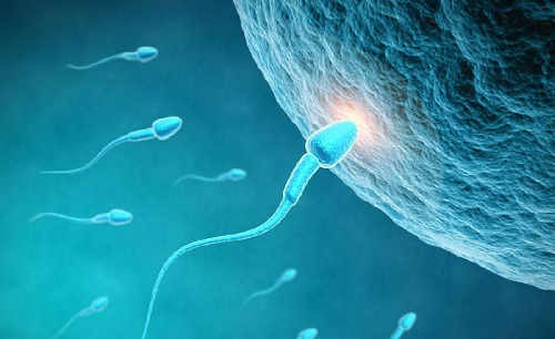 女人吃精子會產(chǎn)生朊病毒嗎 朊病毒傳播途徑是什么
