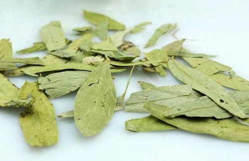 番瀉葉有副作用嗎 番瀉葉的正確服用方法是什么