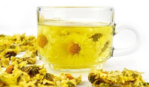 菊花茶的功效與作用是什么 哪五類人不能喝菊花茶