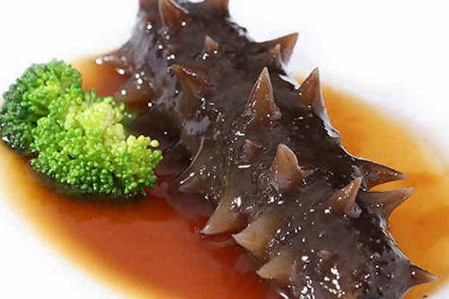 海參的營養(yǎng)價值和功效是什么 海參是抗癌還是加速癌癥