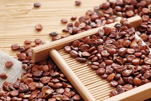 酸棗仁的功效與作用是什么 酸棗仁能治什么病