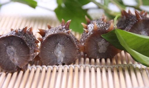 每天吃一個海參好嗎 吃海參對身體的好處有哪些