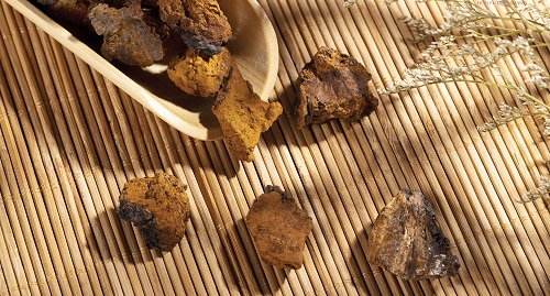 樺樹茸的功效與作用是什么 樺樹茸適合哪些人群食用